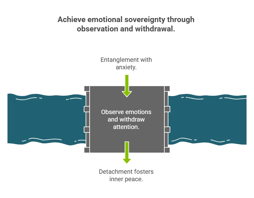 A diagram illustrating the process of intercepting the chaotic flow of emotions and external noise to achieve the inner stillness of true bliss